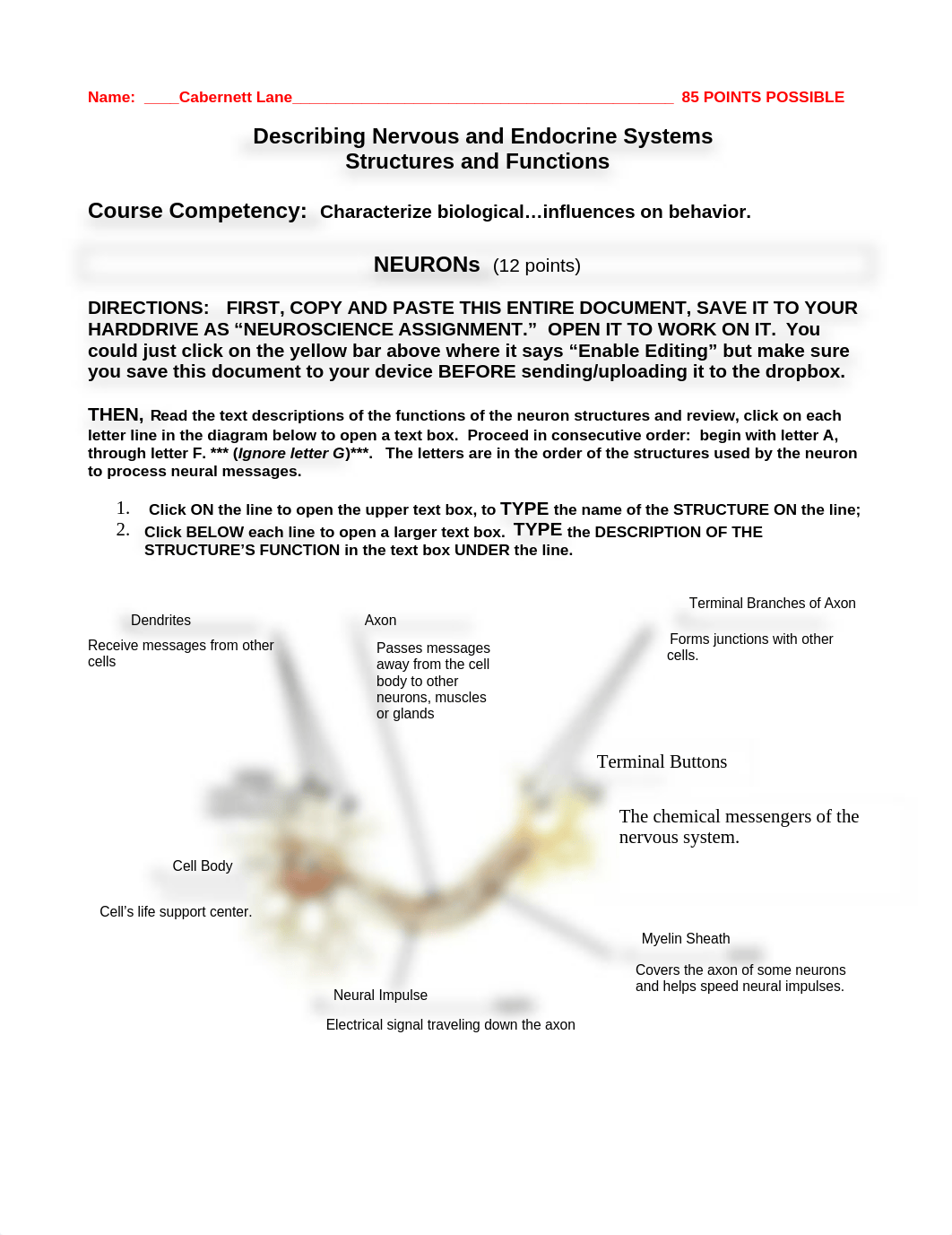 Neuroscience Assignment 1 - Cabernett Lane.doc_d9yrovi42uh_page1