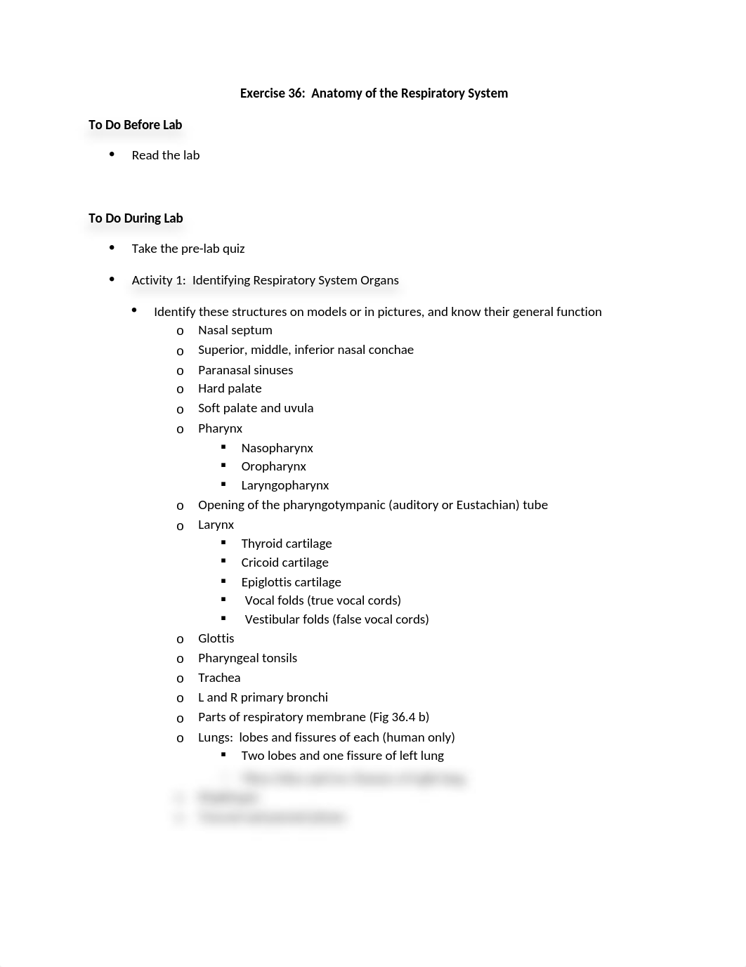 Respiratory Anatomy.doc_d9ywd8me407_page1