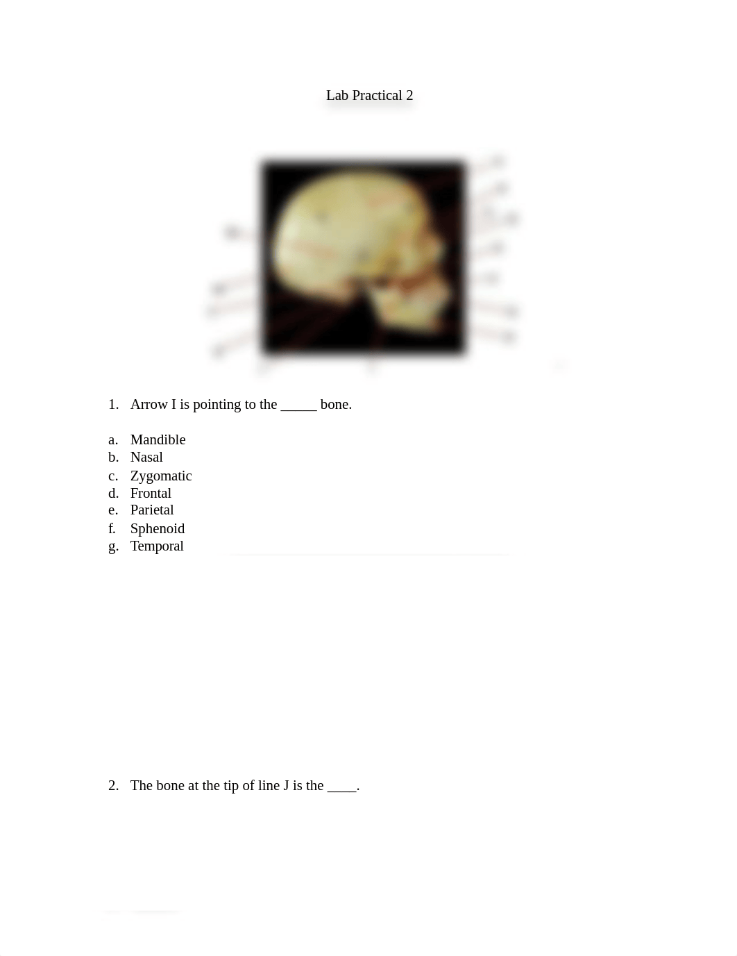 Lab Practical 2 quiz.docx_d9z2ua1lpfx_page1