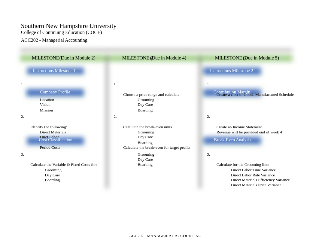 ACC 202 Final Project Workbook Milestone one.xlsx_d9z672hesjv_page1