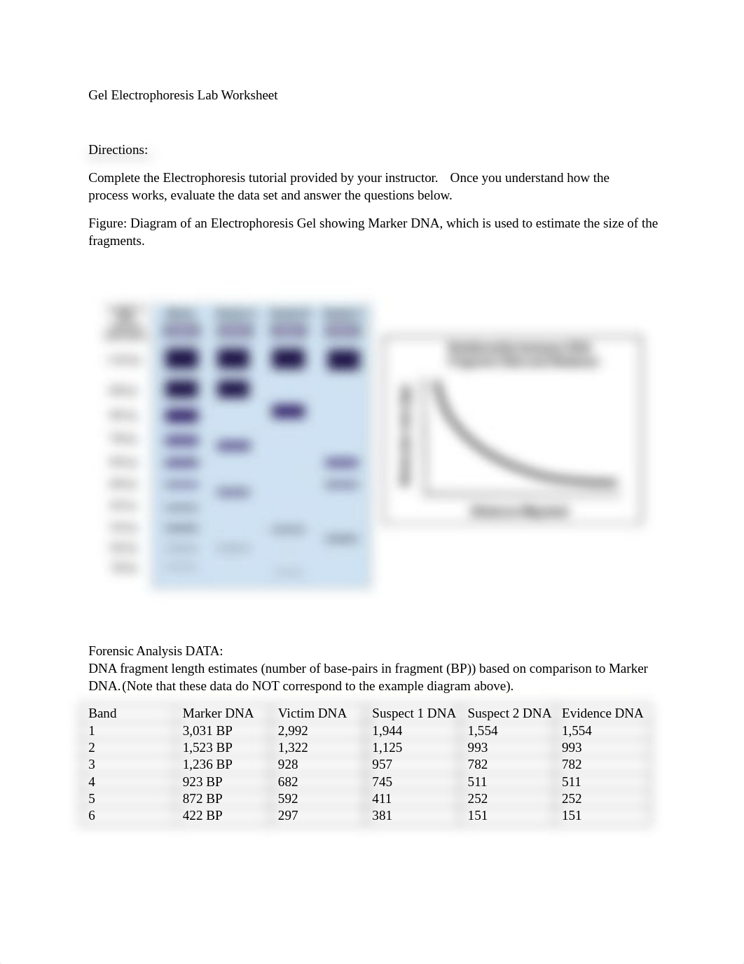 LAB 5D.docx_d9zdg2ppmc8_page1