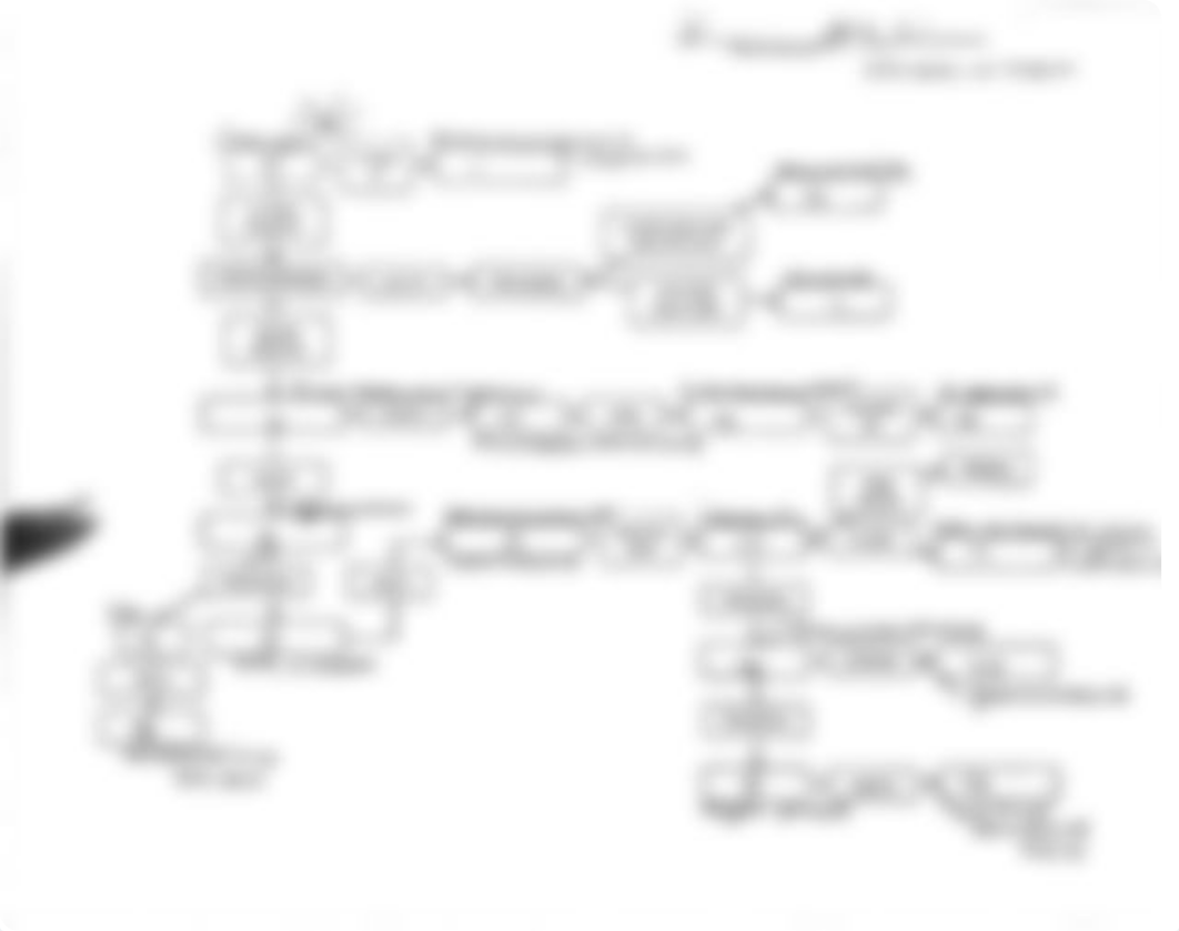 PHOTOSYNTHESIS Concept Map.pdf_d9zftgququ8_page1