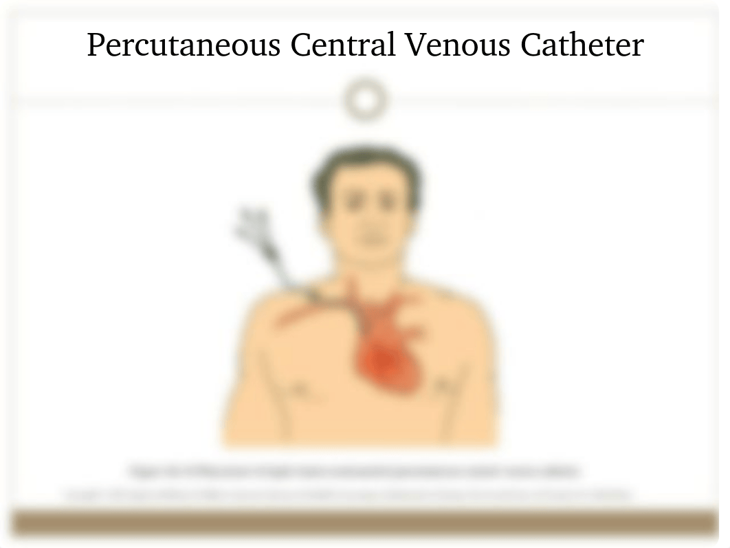 Central+Venous+Catheters(1)_d9zgso6r3bd_page4