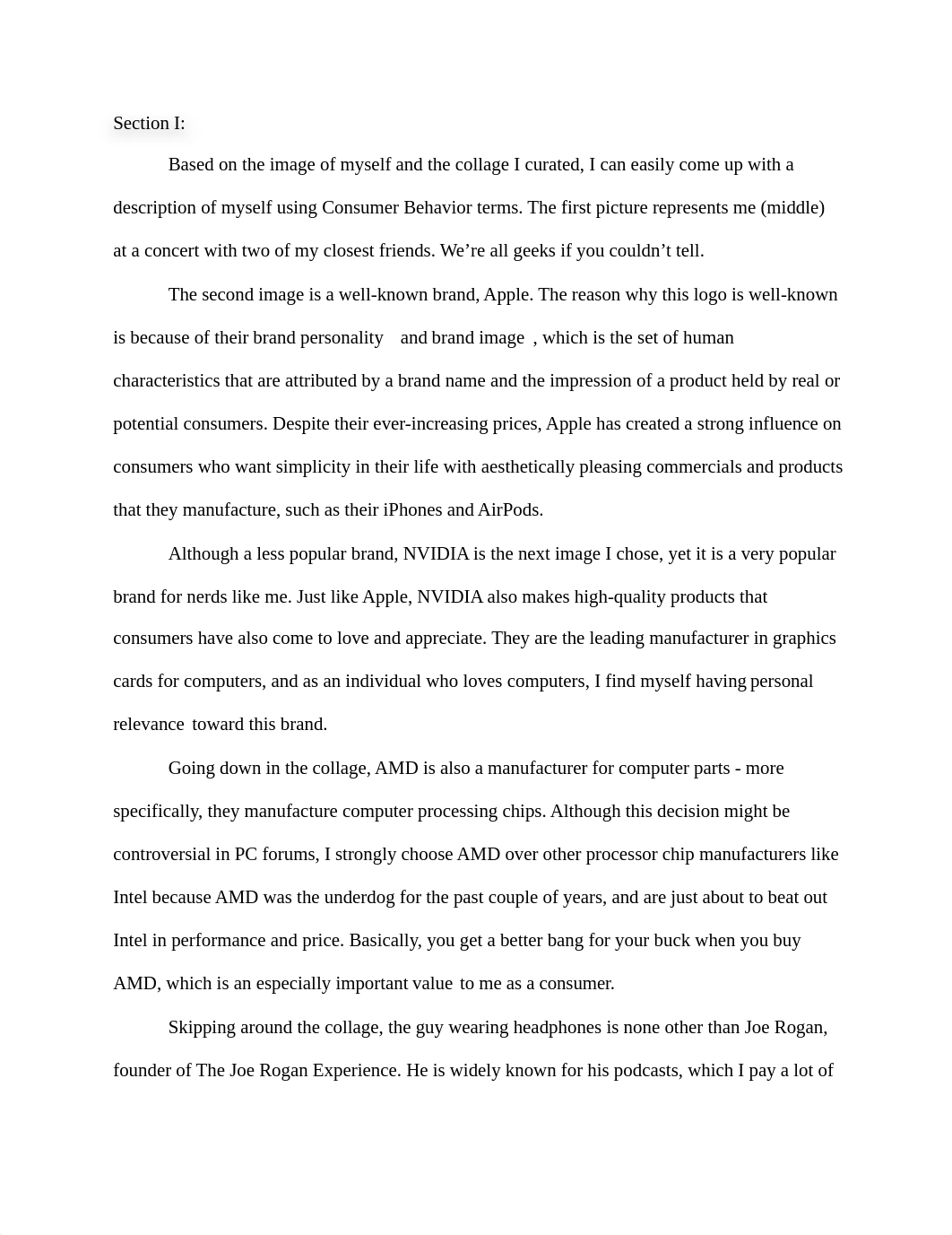 MKT 310 - Final Paper.docx_da08p4dhu7z_page3