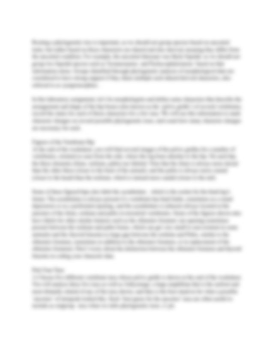 Untitled document.pdf_da0evjixagv_page2