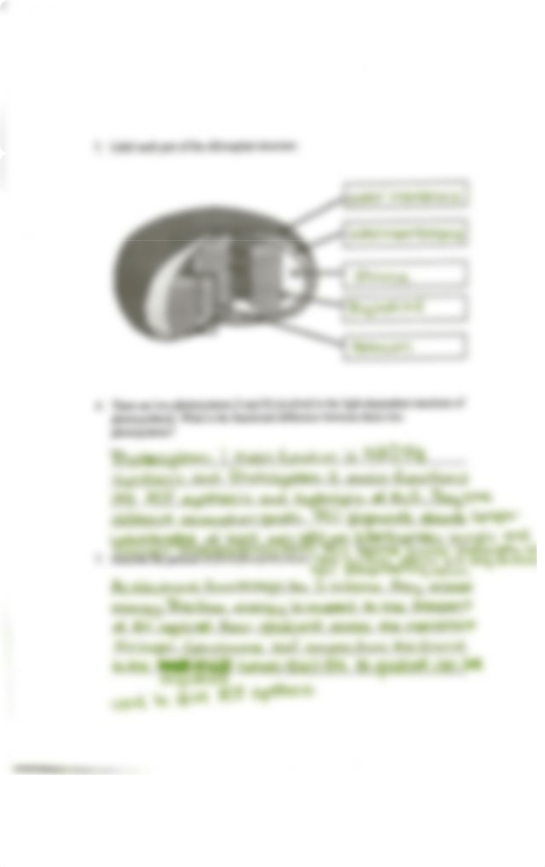 Jones_Photosynthesis.pdf_da0xfxupq8a_page3