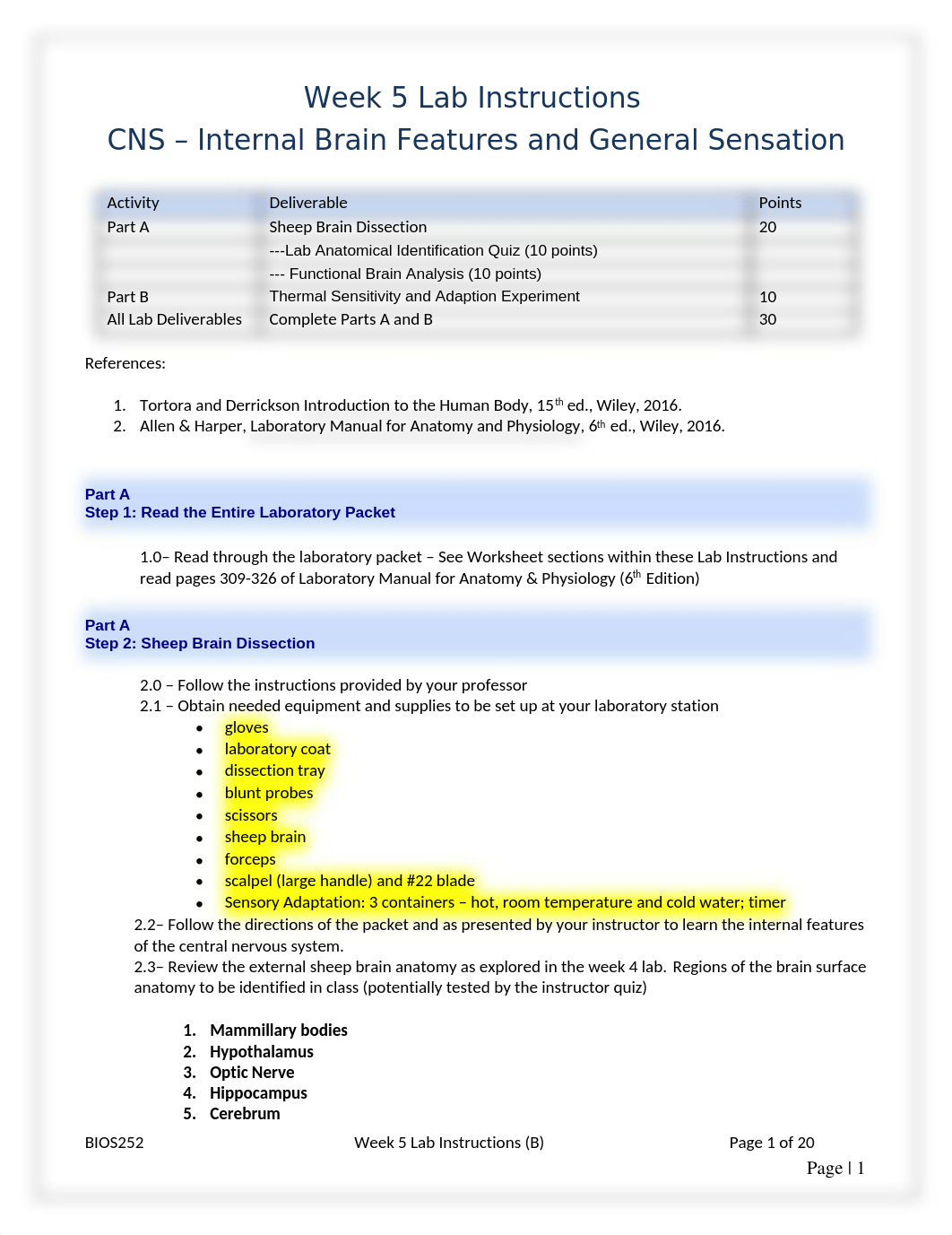 W5 Lab Instructions B.docx_da11mq04g1z_page1