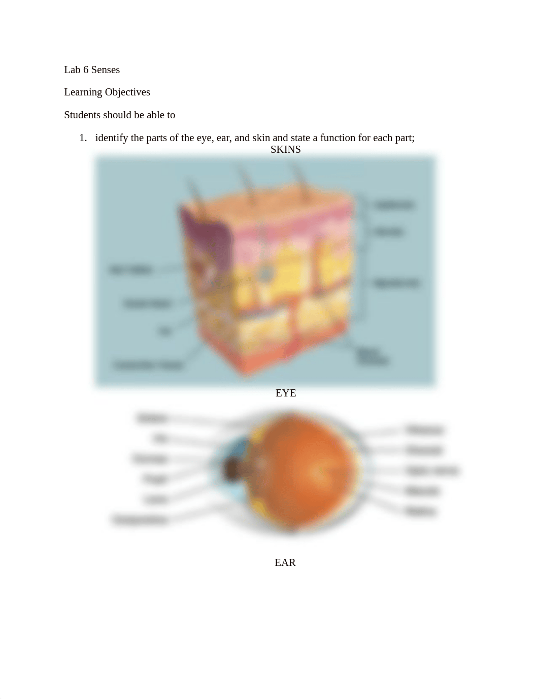 Lab 6_da146vkq5fp_page1