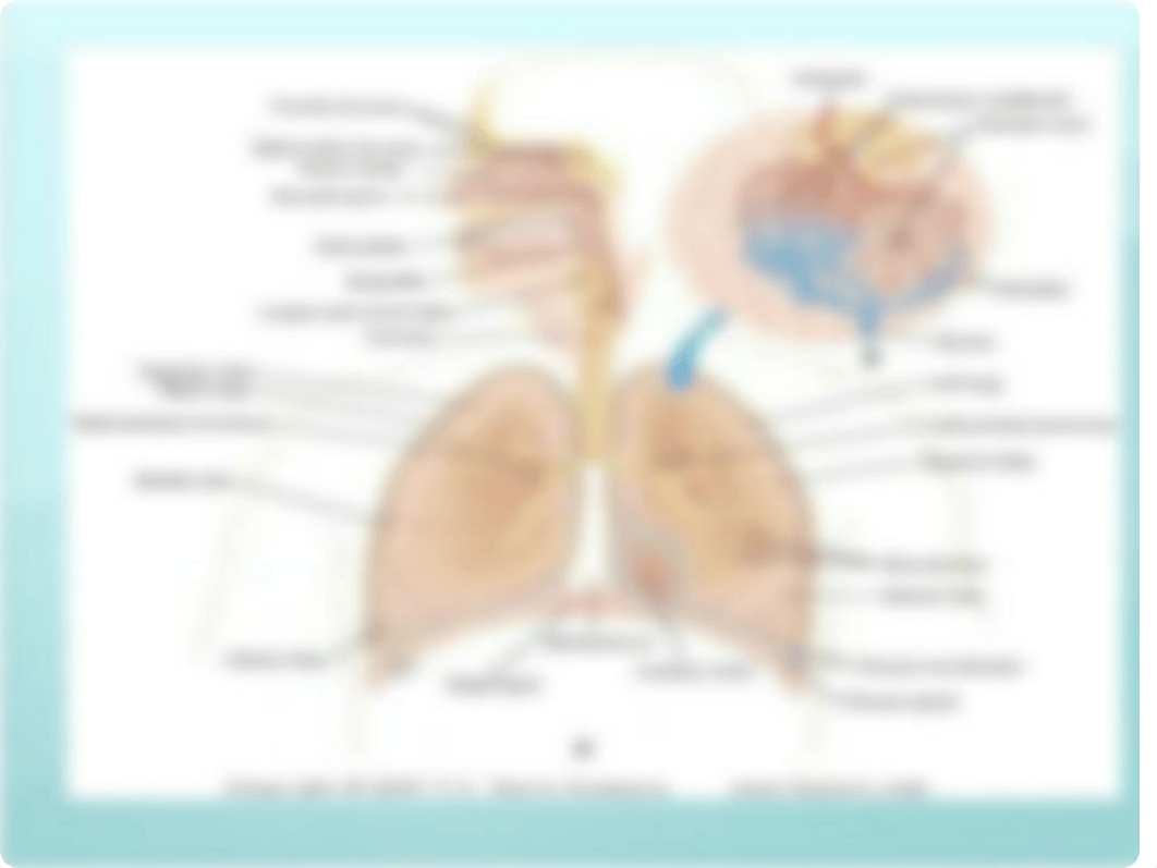 Chest Tube PPP lecture, B & L, W & H_da15q2g6ogu_page2