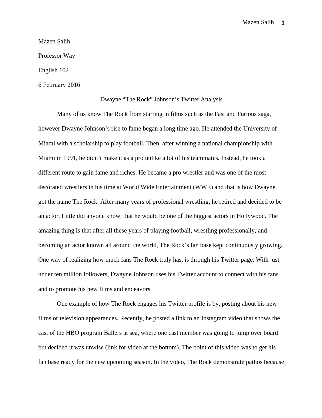 The Rock Analysis.docx_da163s1jcus_page1