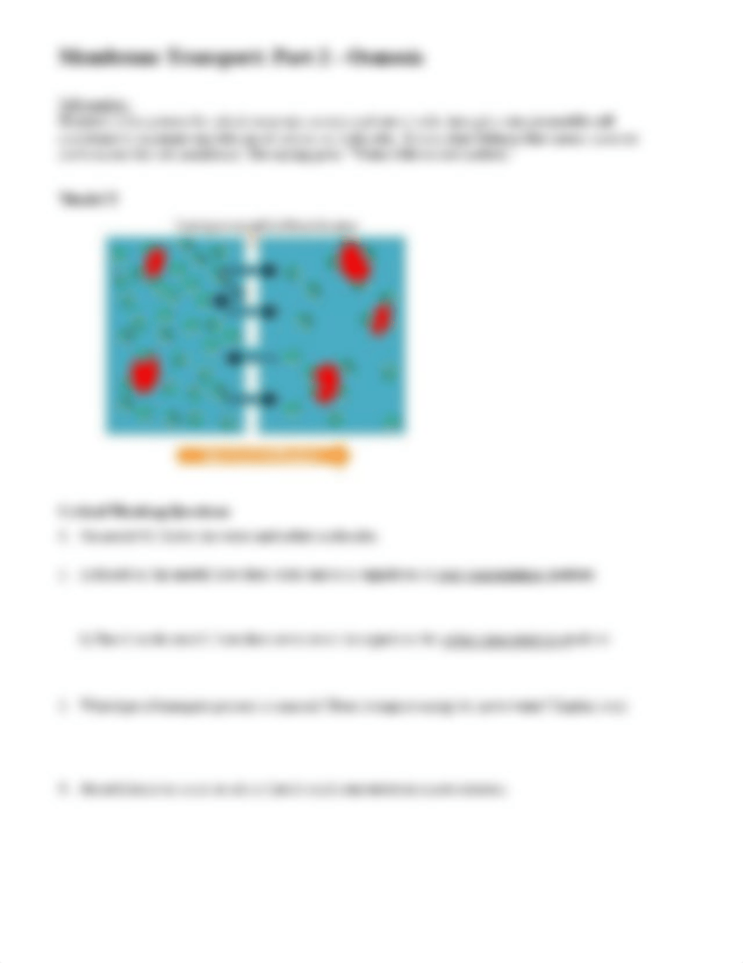 Chapter 5 Participation(pdf).pdf_da16atgbvqm_page4