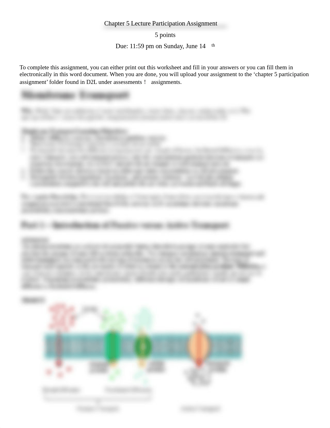 Chapter 5 Participation(pdf).pdf_da16atgbvqm_page1