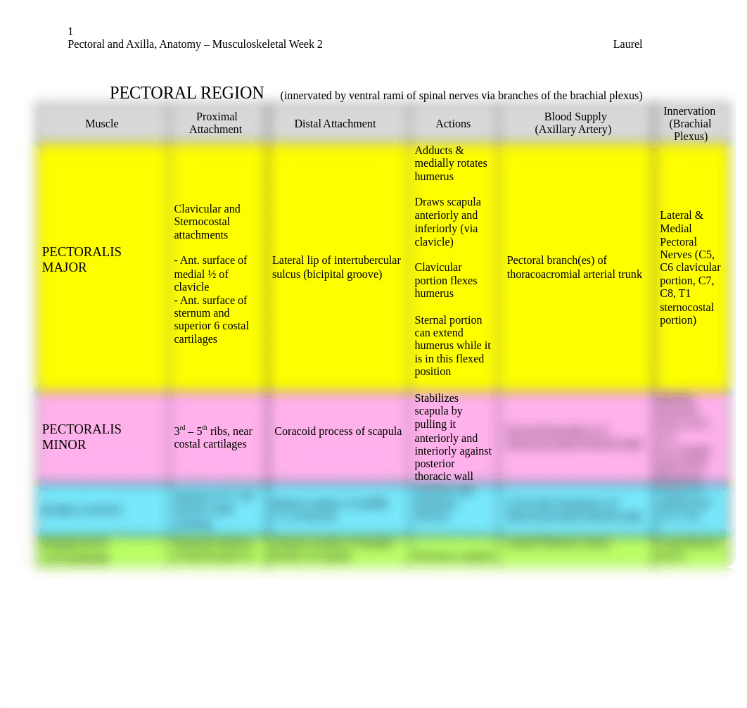 Pectoral & Axillary -  Anatomy 9-23-13_da17jrttw72_page1