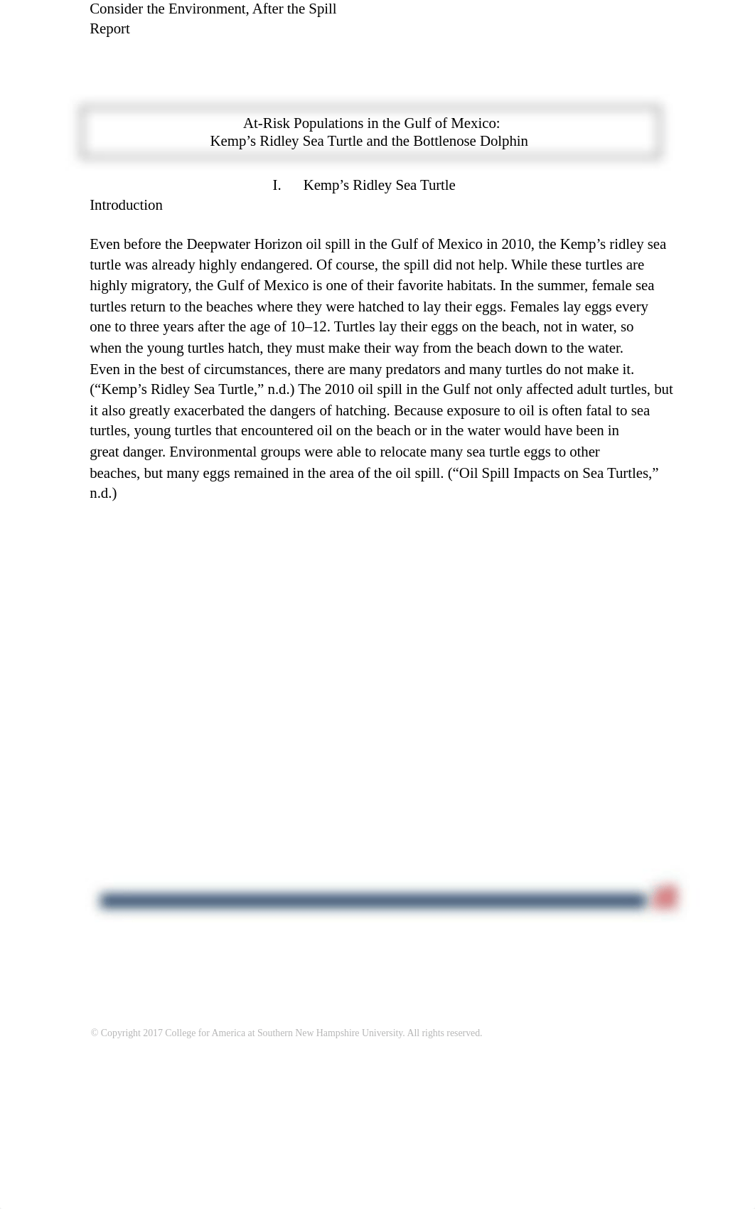 After the Spill update.docx_da1diijjzq8_page1