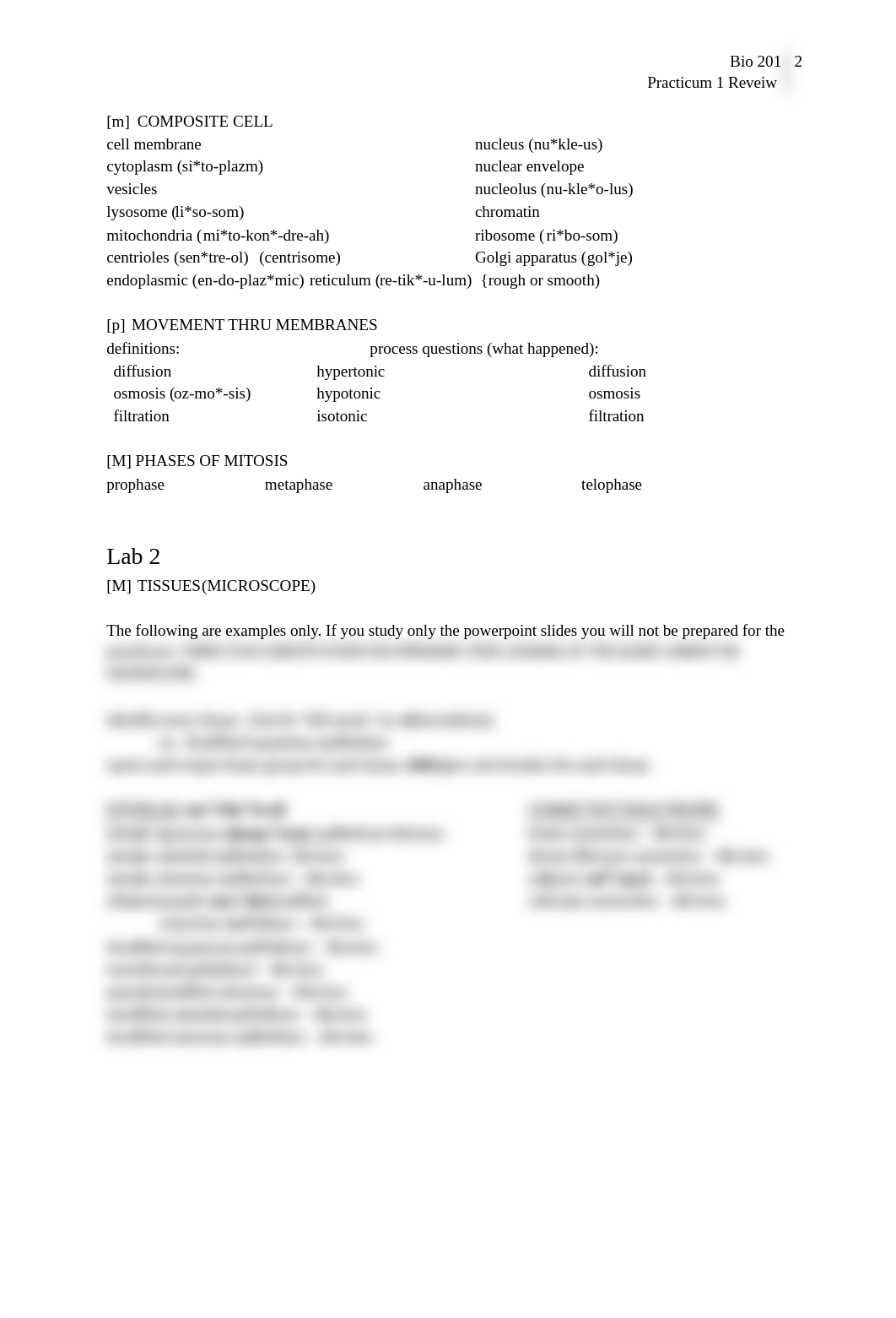 Practicum 1 review_da1jgxju5jq_page2