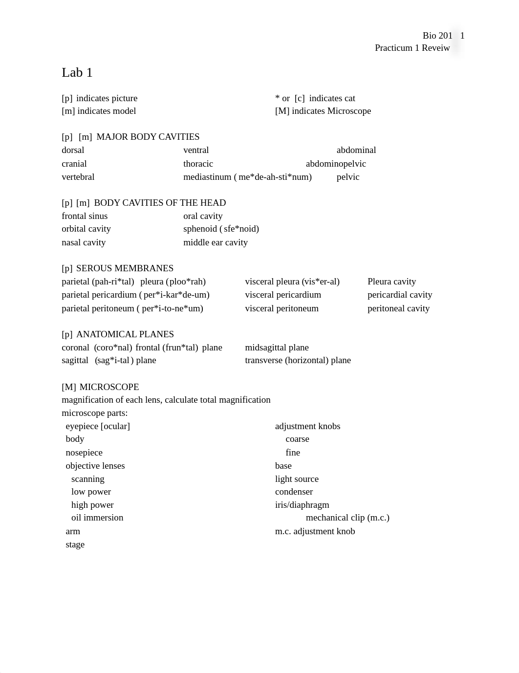 Practicum 1 review_da1jgxju5jq_page1