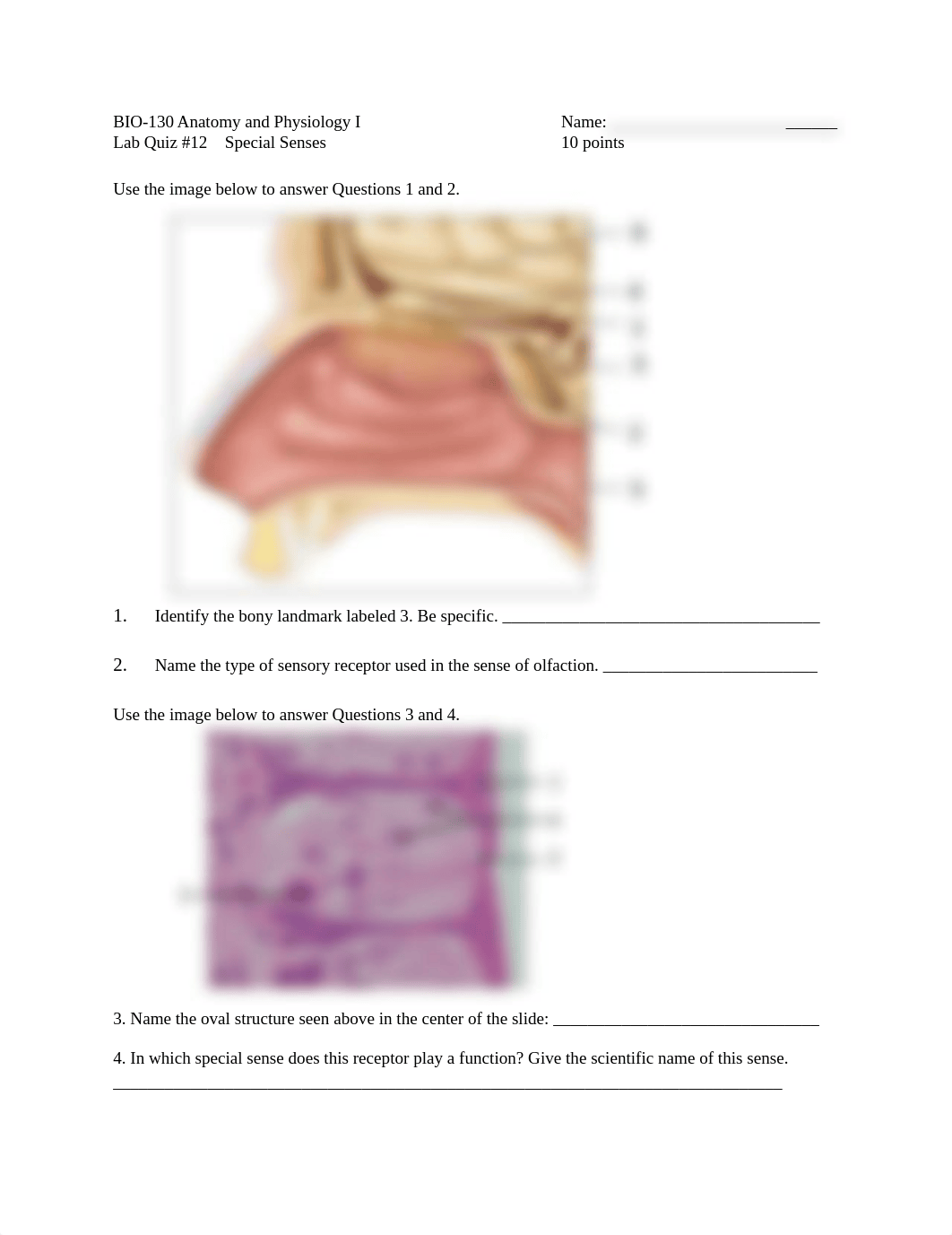 BIO 130 Lab Quiz #12 Special Senses AU20.docx_da1rvbh7cc6_page1