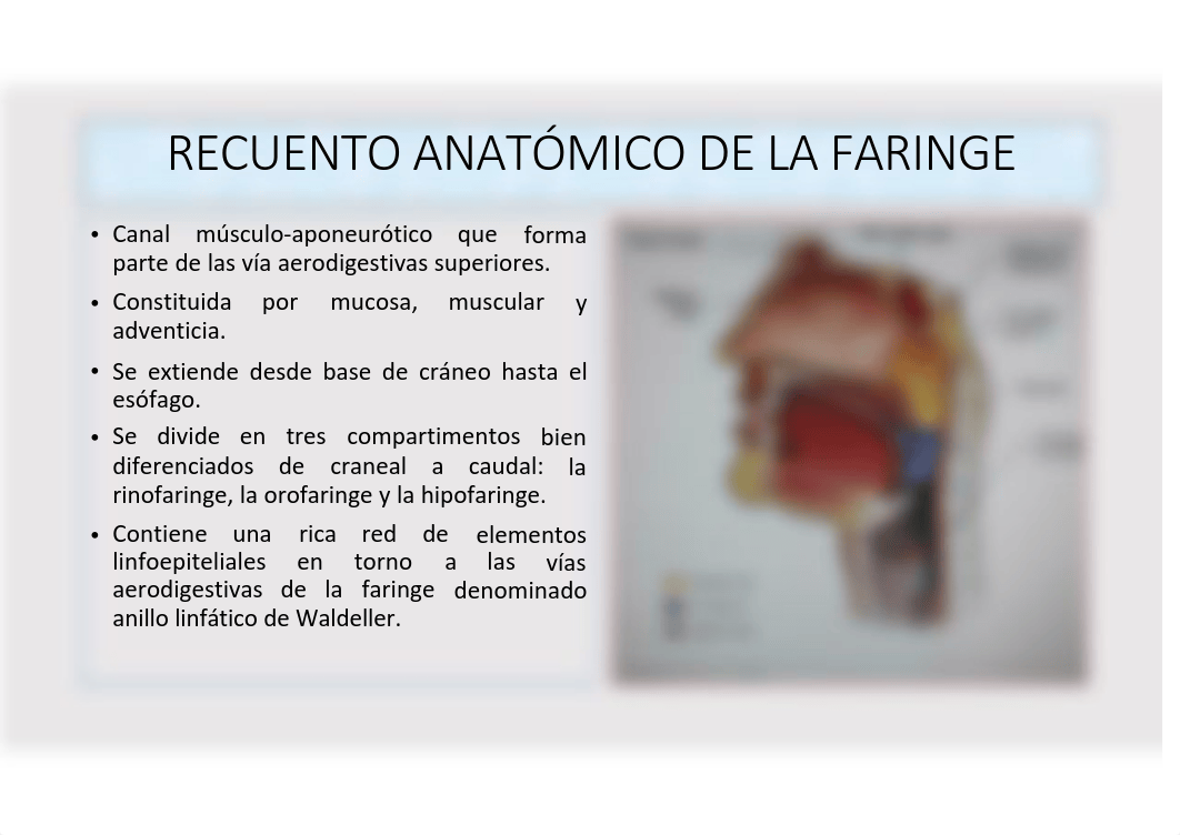 1-sindrome linfoideo faringeo agudo.pdf_da1tcq9z097_page2