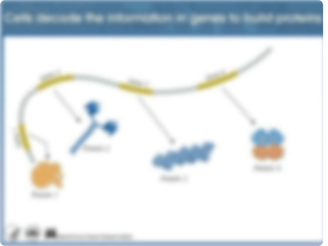 HumanGenomeLab.pptx_da1ts4oi6yh_page4