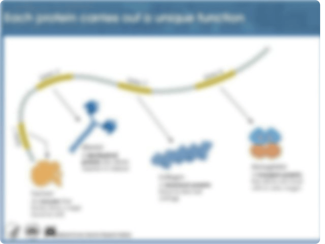 HumanGenomeLab.pptx_da1ts4oi6yh_page5