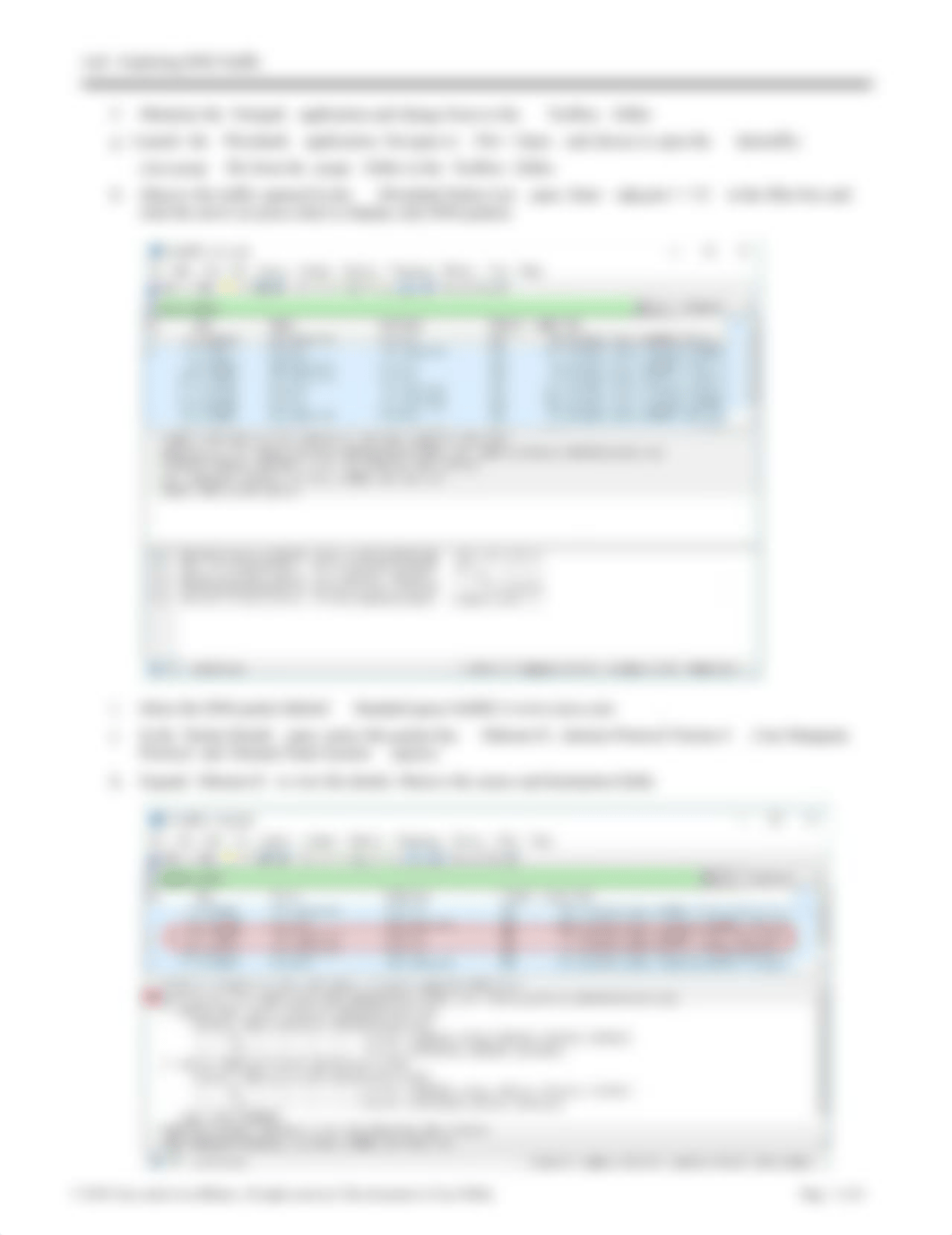 7.3.1.6_Lab___Exploring_DNS_Traffic.pdf_da2034jjx92_page2