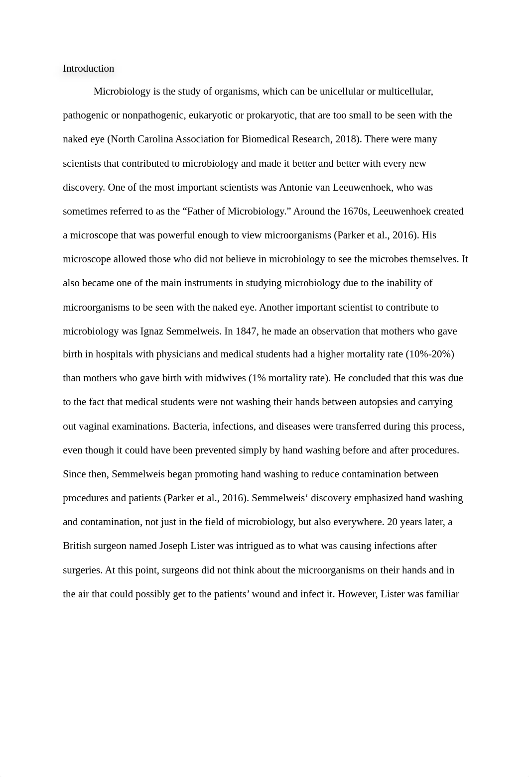 Micro Unknown report FINAL.docx_da2107tqv19_page3