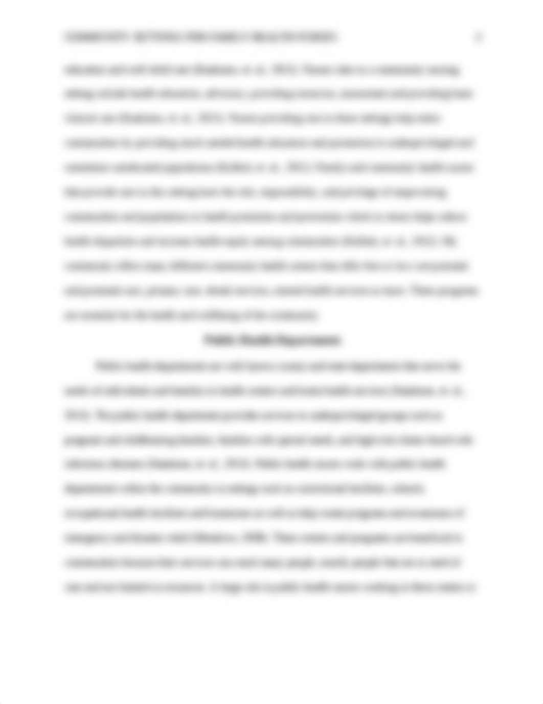 community health paper.docx_da25x6r5mk3_page3