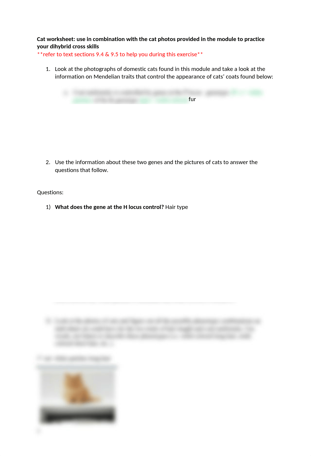 Cat-worksheet-Genetics-Lab (1).docx_da29xtpa7ko_page1