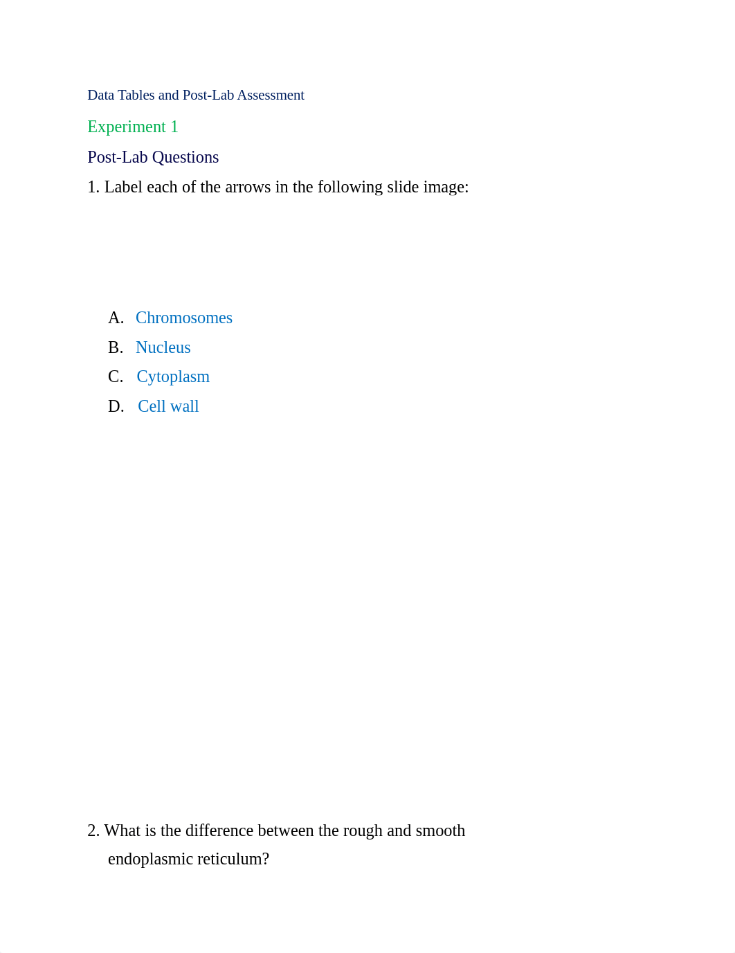 Lab 10_All Exercises.docx_da2euym6v1t_page3