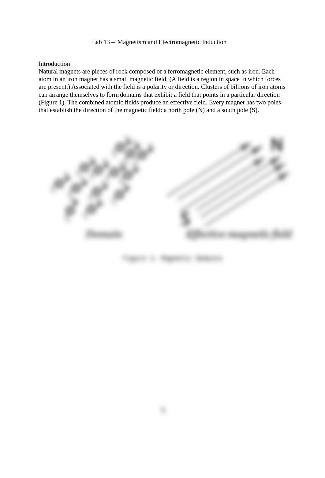 PH101 Lab 13 - Magnetism.docx_da2im67vrwl_page1