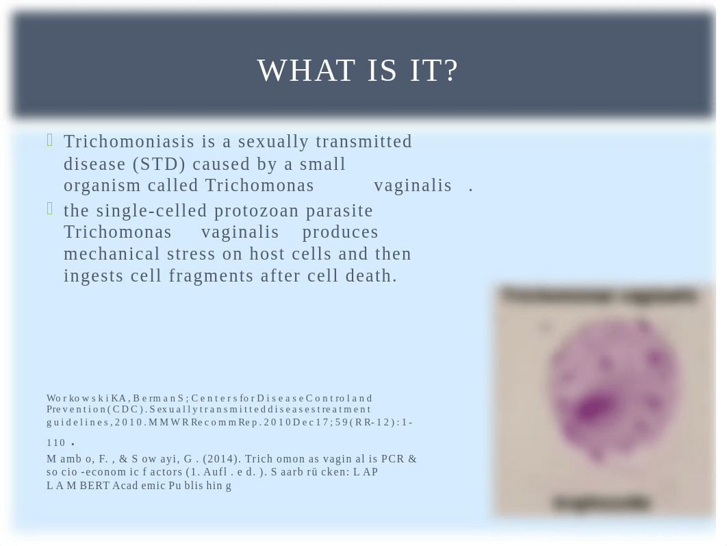 Trichomoniasis powerpoint.pptx_da2mvkum33w_page3