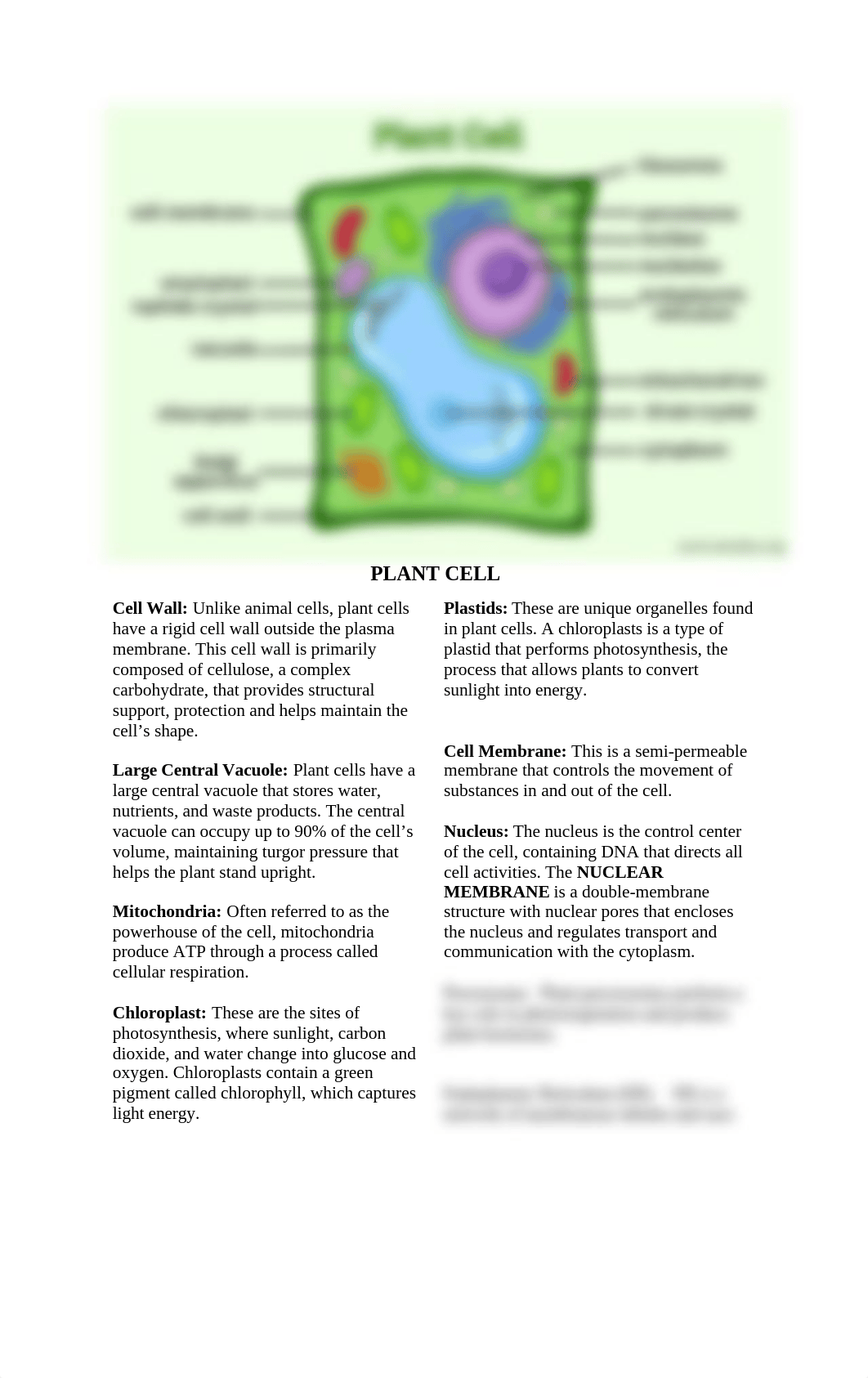 General Biology 1 - Cells (Parts and Functions).docx_da2oiewgd4y_page1