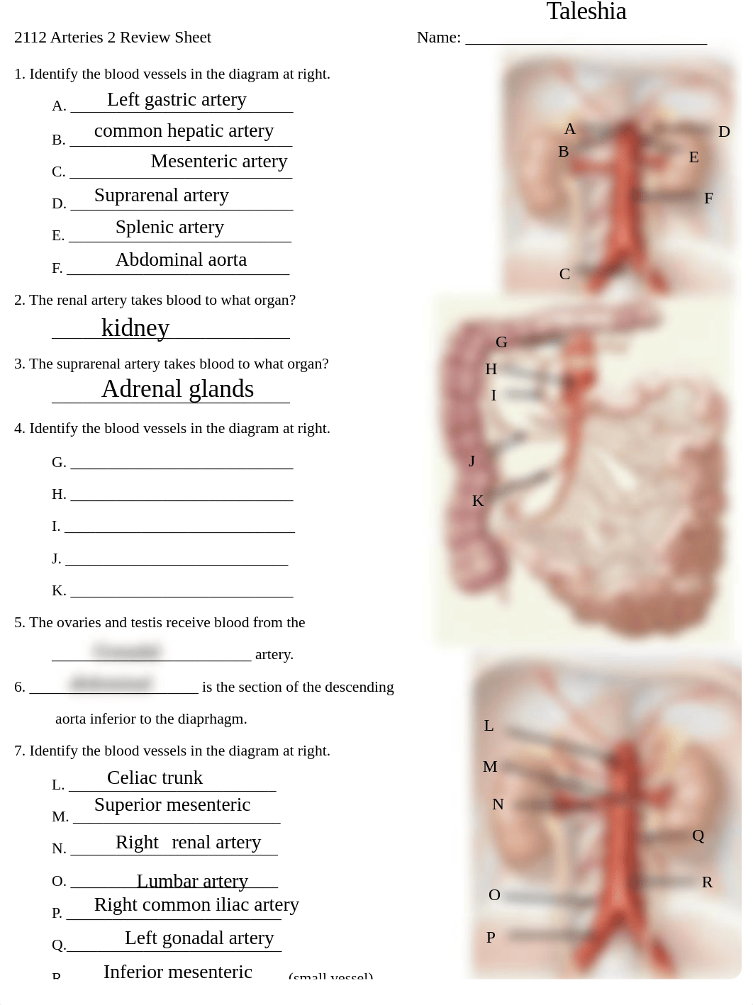 2112 Arteries 2 Review.pdf_da2tp9yvp7f_page1