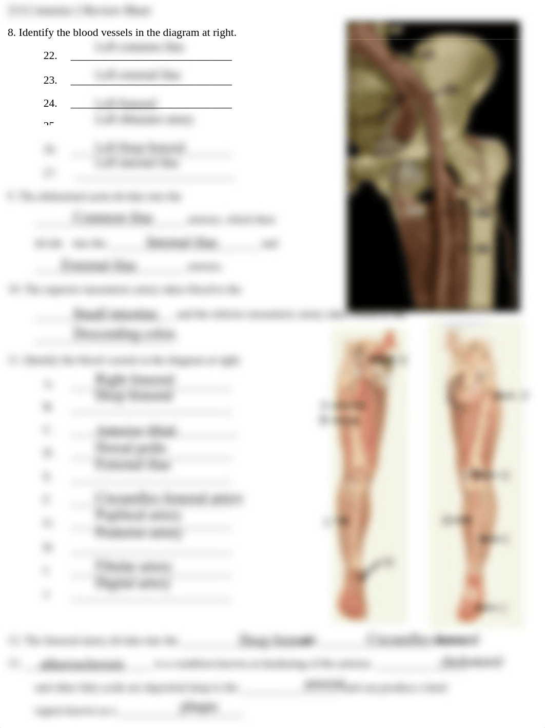 2112 Arteries 2 Review.pdf_da2tp9yvp7f_page2