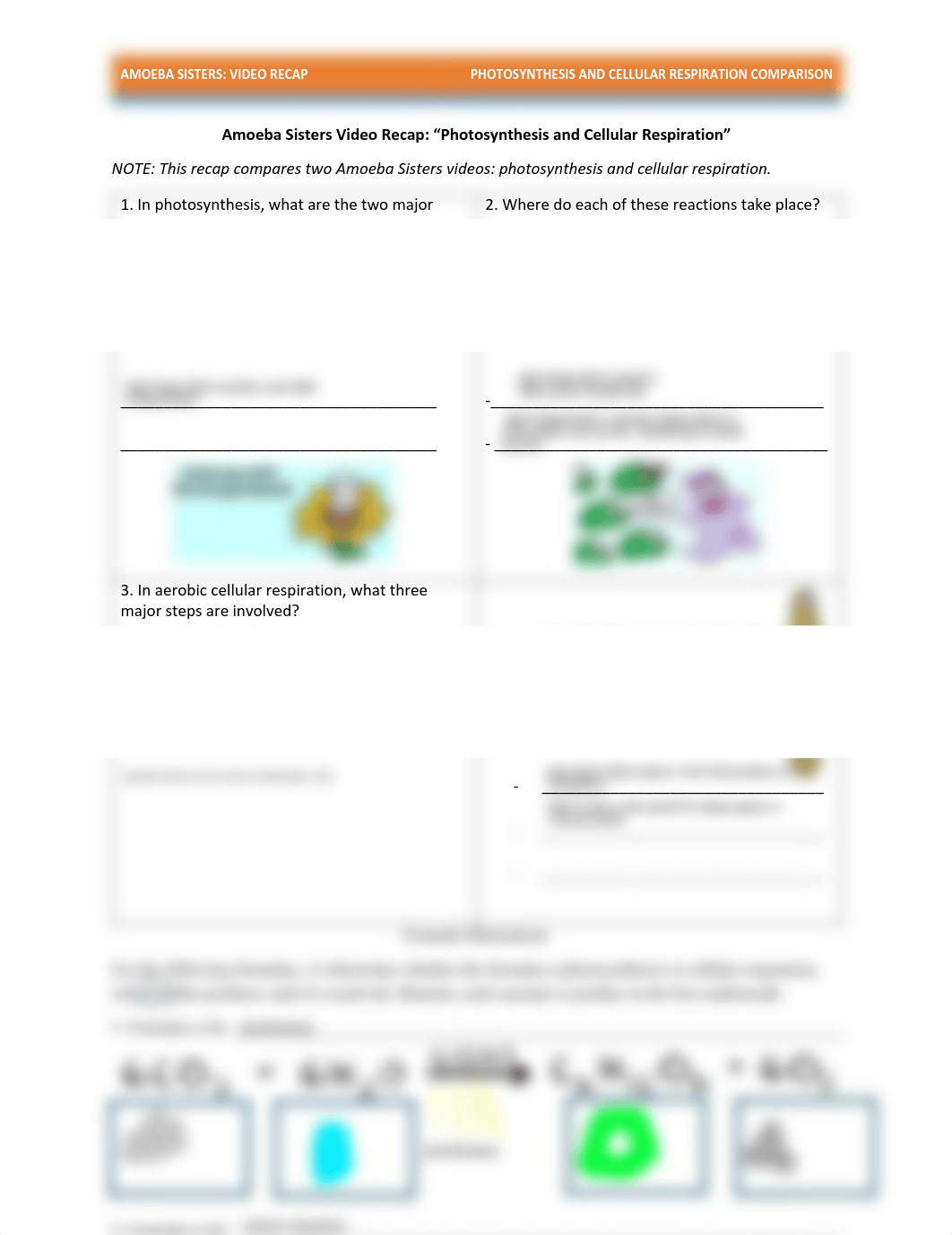 Kami Export - Preston Hylton - 24D - comparing photosynthesis and cellular respiration.pdf_da2ygctwkmc_page1