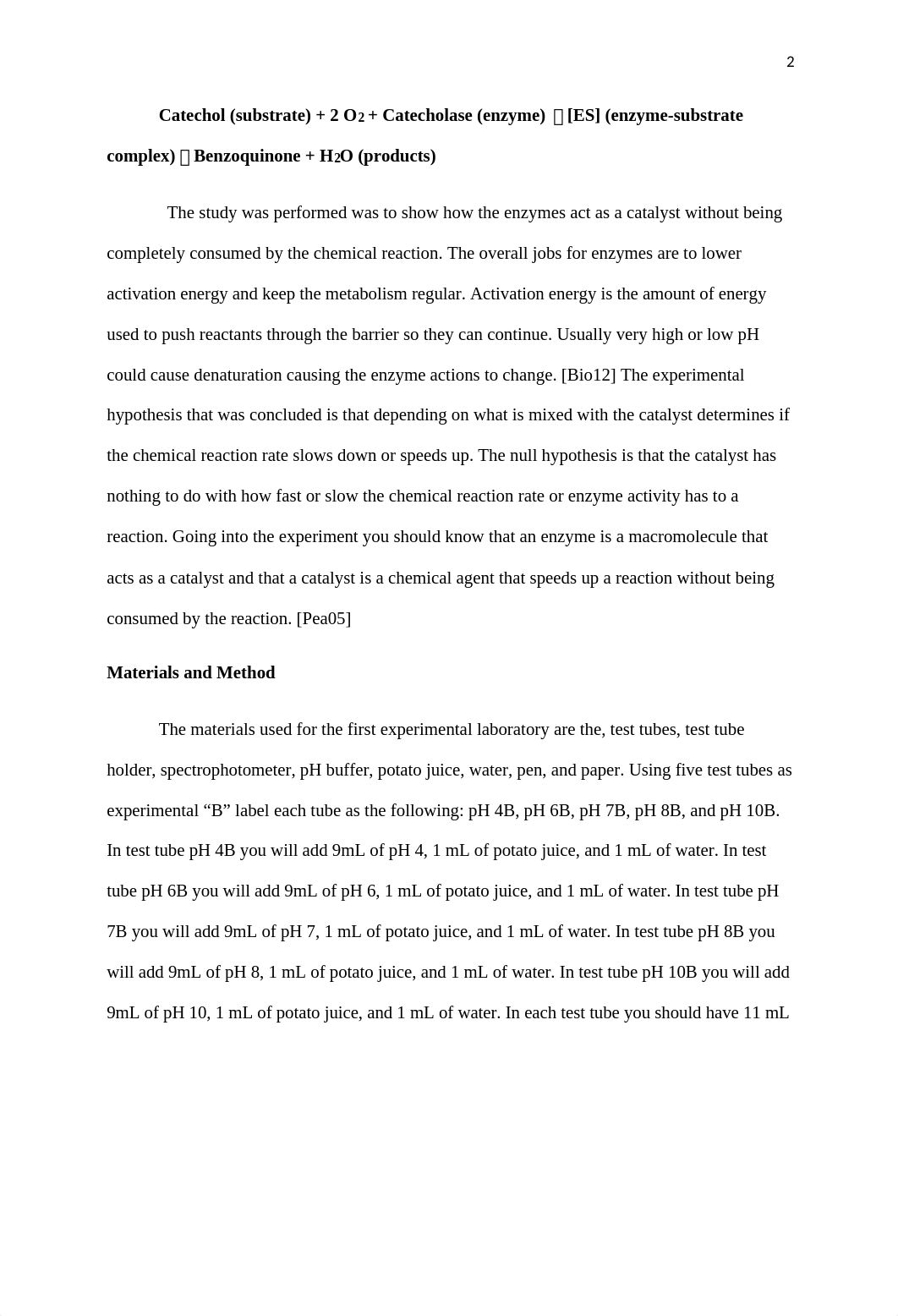 Bio Lab Report 6 enzymes_da3auue9t4v_page3