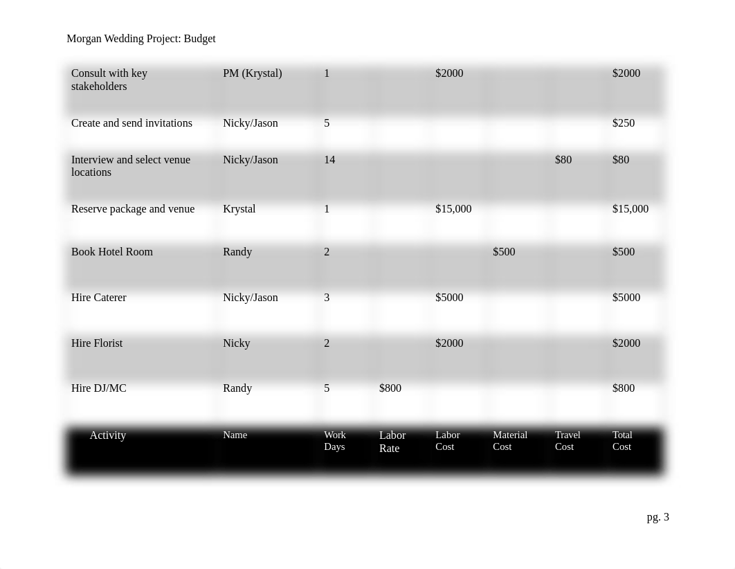 BU 345 Unit 6 Project Budget.docx_da3ekpv157m_page3