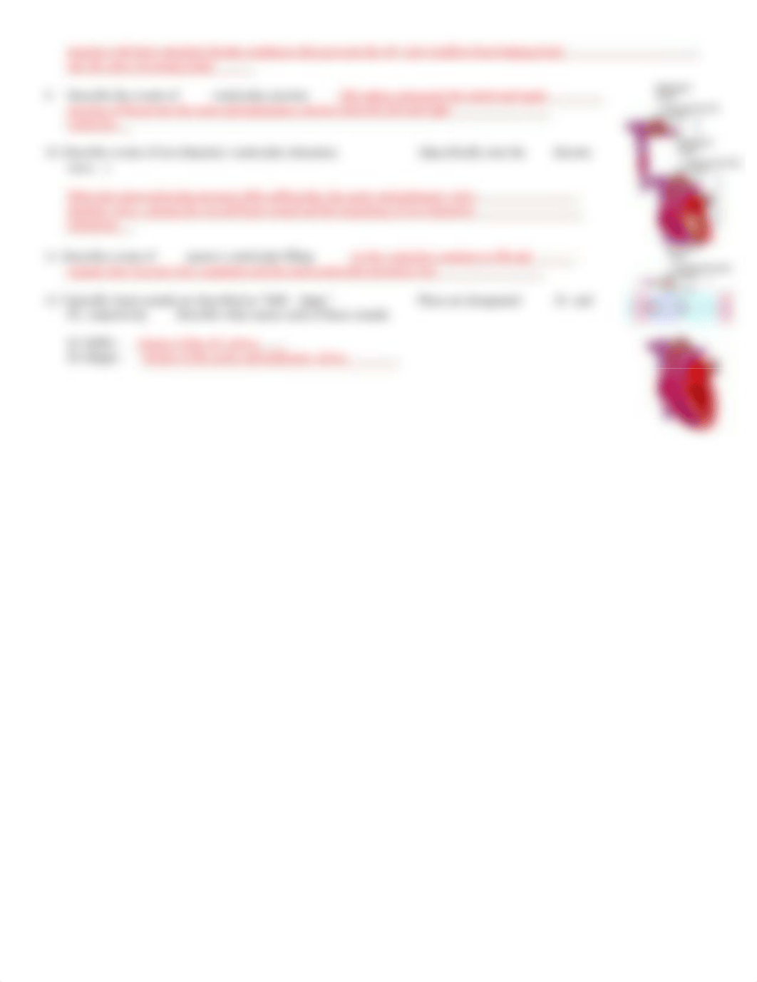 20 Cardiac Cycle  AEd_da3ep7ifzo1_page2