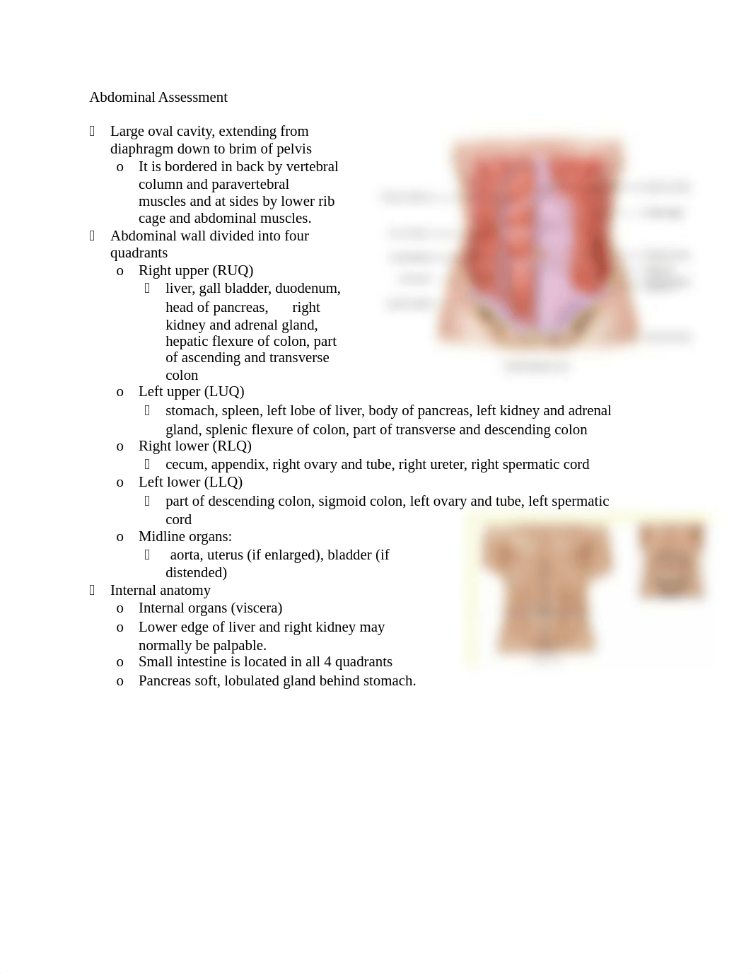 Abdominal and Musculoskeletal Study Guide_da3fgrqbm3w_page1