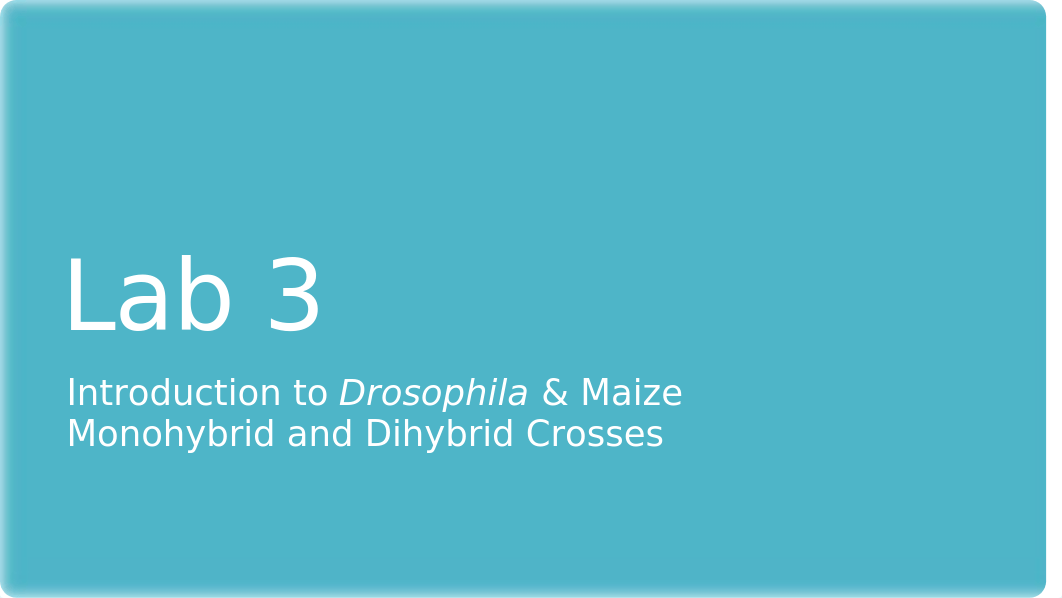 BIOL 315 Lab 3 Introduction to Drosophila and Monohybrid Dihybrid Crosses in Maize.pptx_da3gmg326u9_page1