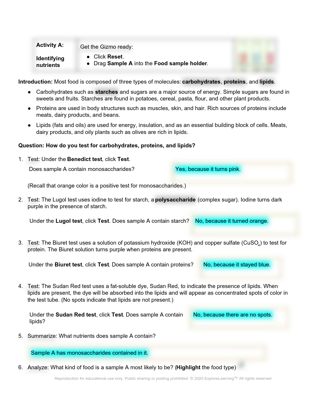 Identifying Nutrients- Tiffany Sanchez (1).pdf_da3ie1lr61x_page2