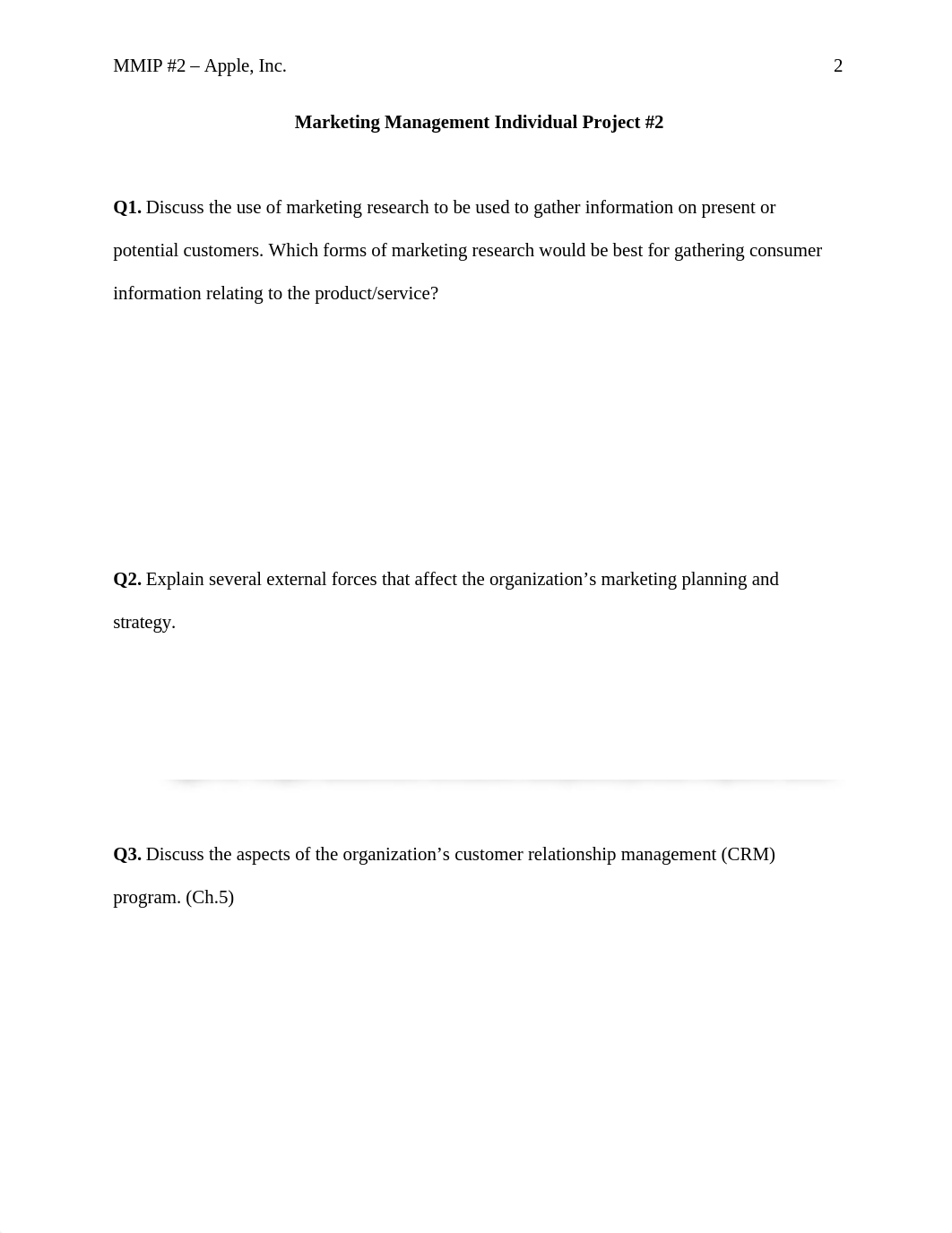 MMIP #2.docx_da3jzkmuhei_page2