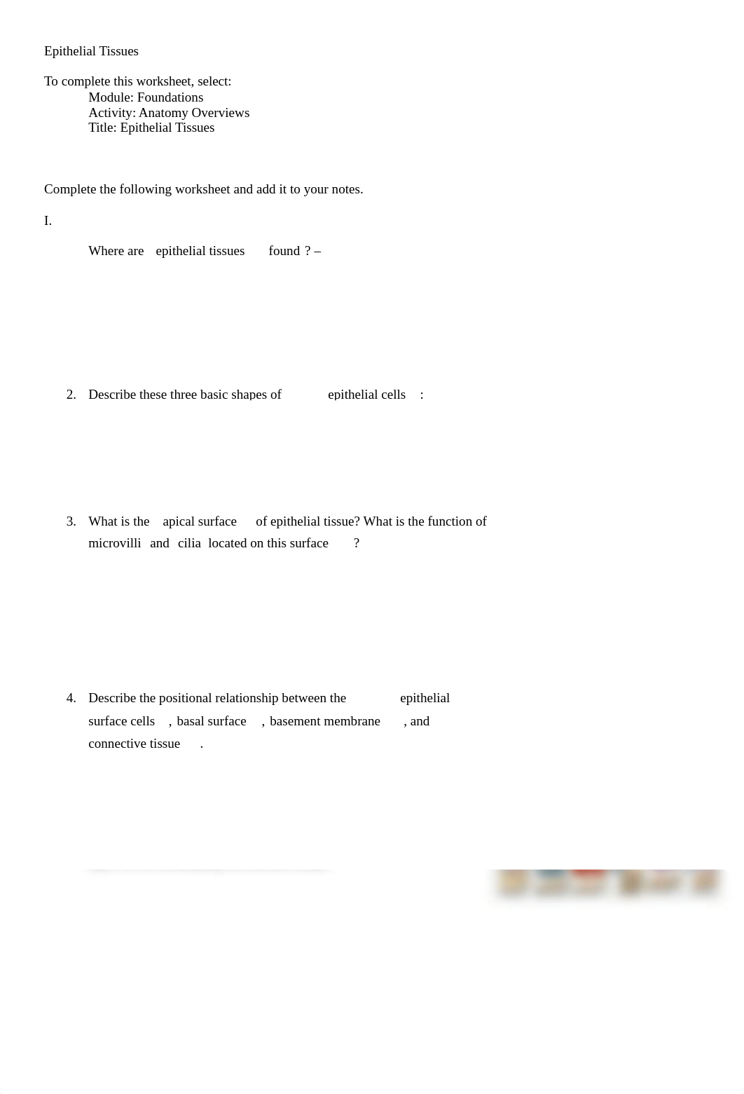 Key_to_epithelial_tissues.doc_da3qnsie0xw_page1