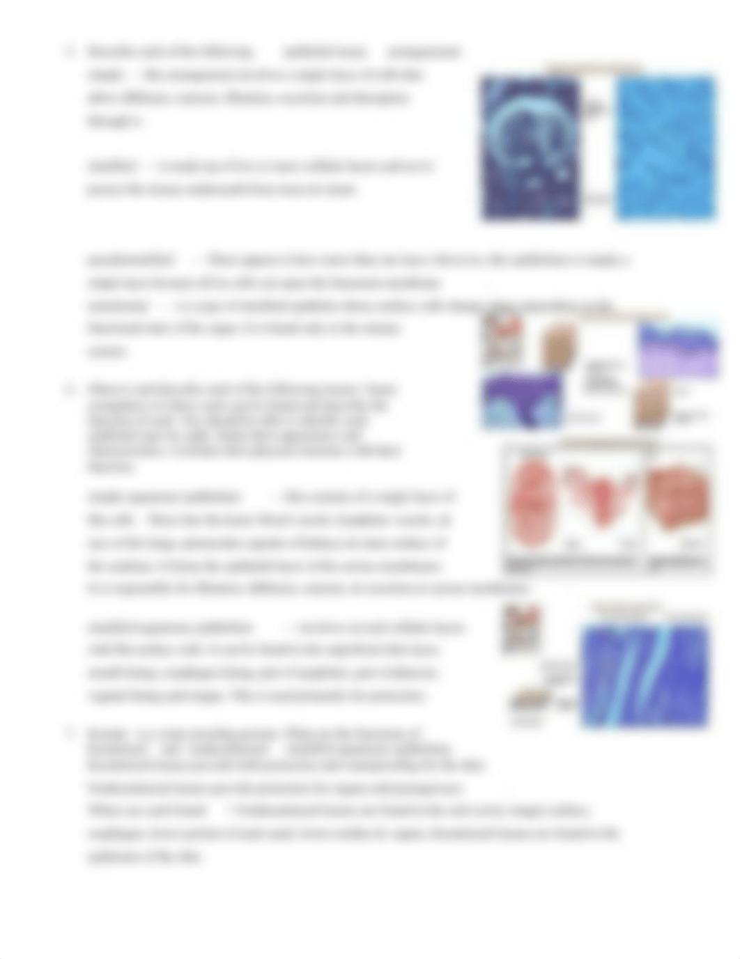 Key_to_epithelial_tissues.doc_da3qnsie0xw_page2