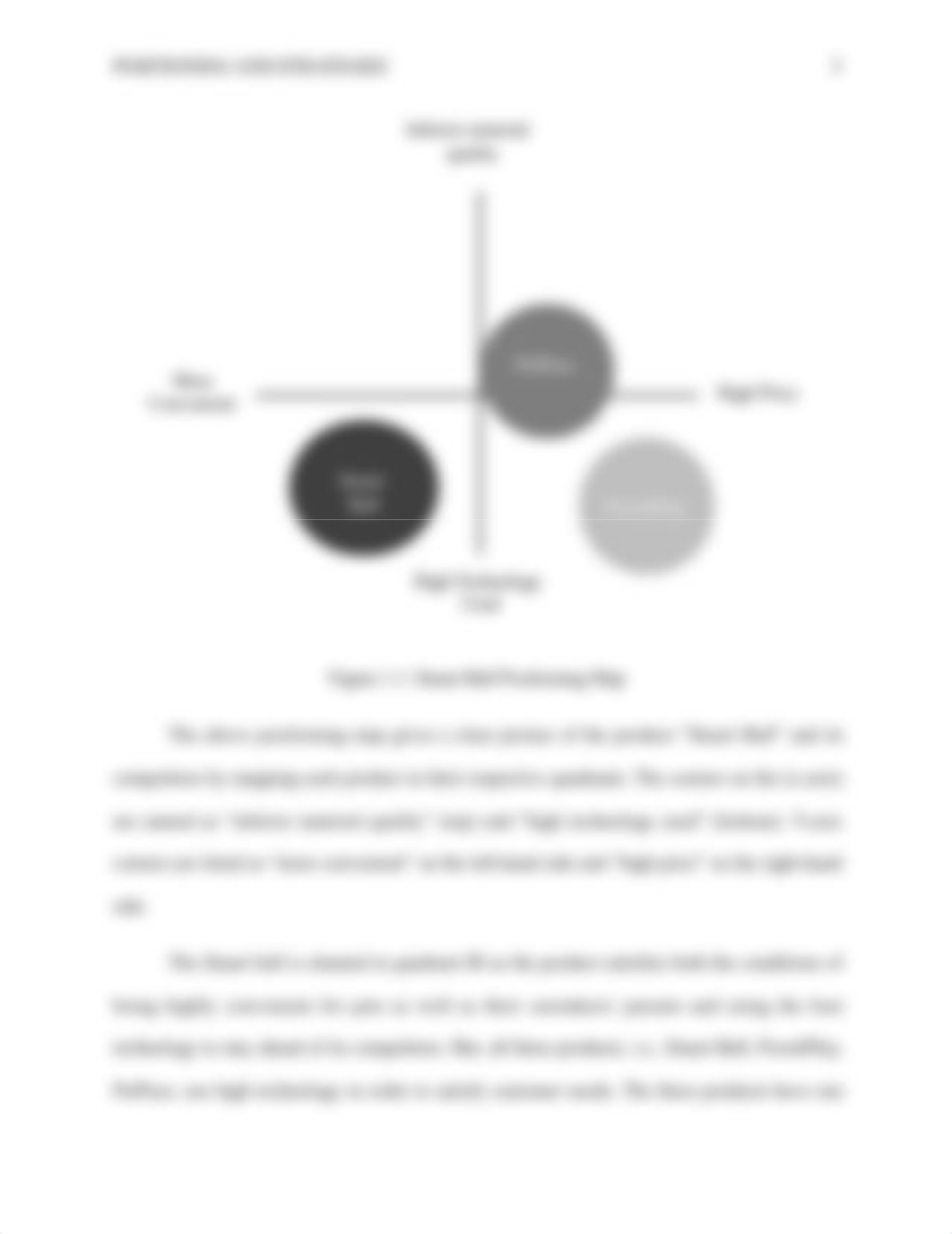 MBA-525 Positioning and strategies.docx_da3tmfgii83_page5