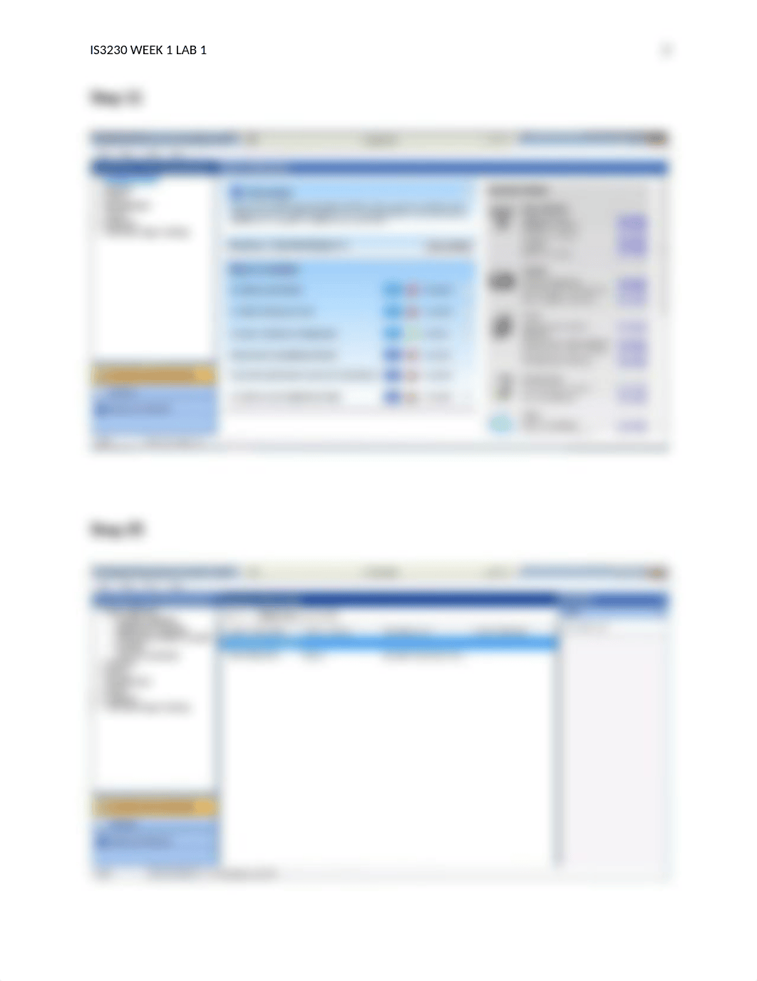 IS3230 Week 1 Lab 1_da3xy16dghh_page2