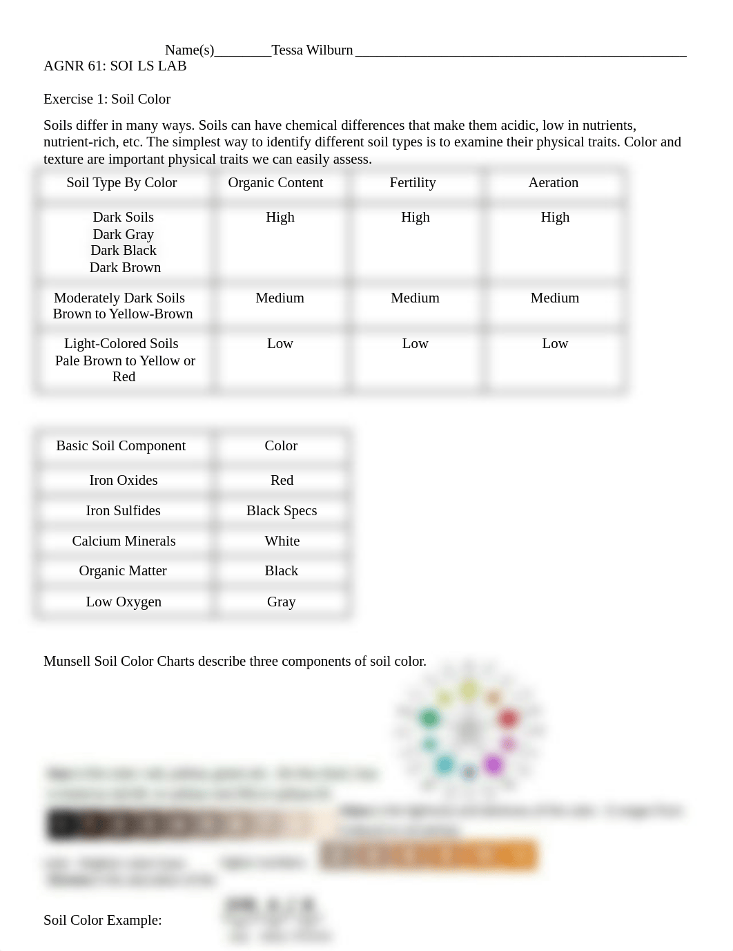 Soil Lab - Soil Texture Analysis "The Jar Test" AT HOME.docx_da3zn2fxyoe_page1