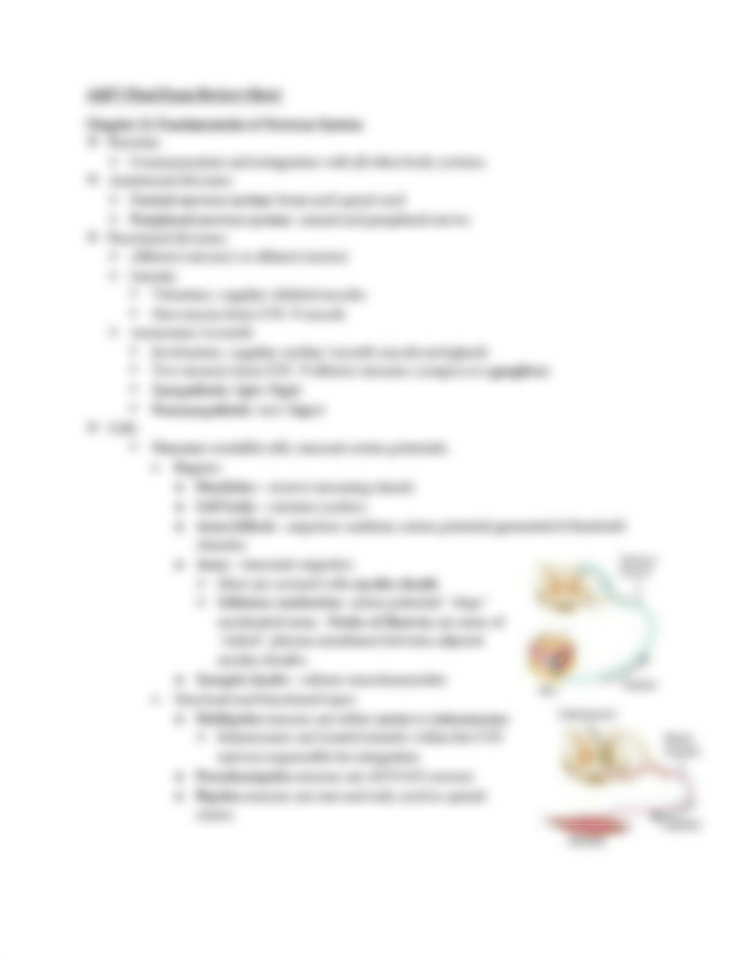 Final Exam Study Guide.pdf_da4dtei51a1_page1