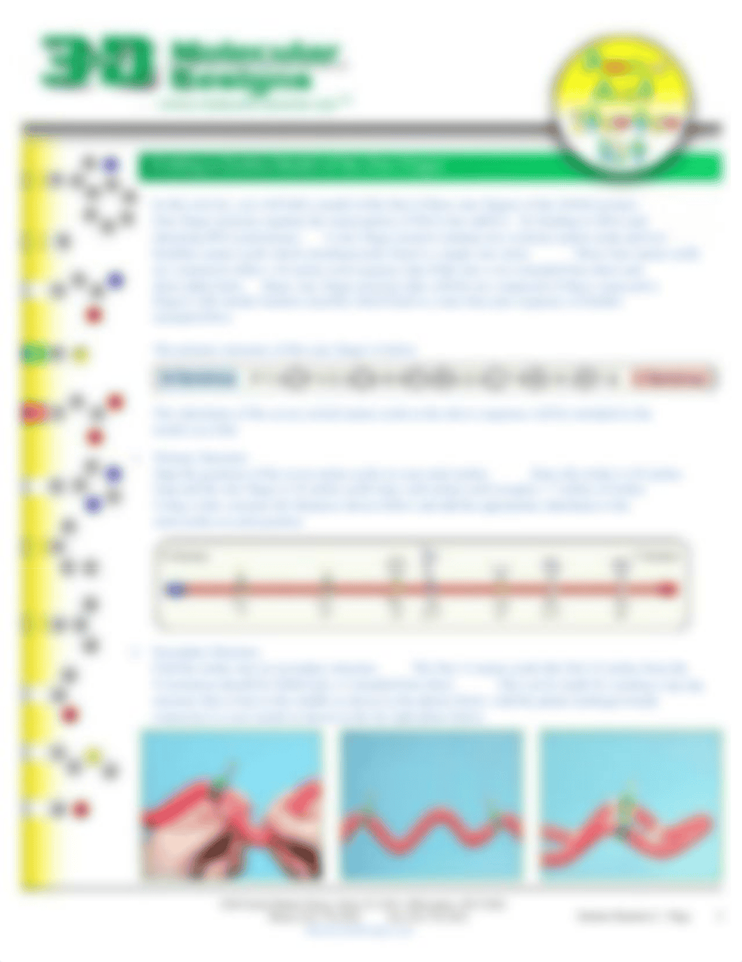 Amino Acid handout 2.pdf_da4ejhk6o6l_page2