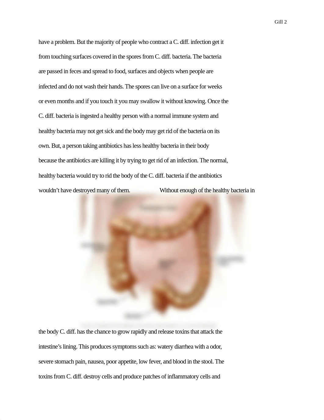 C DIFF.docx_da4esp4nv9m_page2